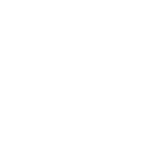 wine bottle wine bottle